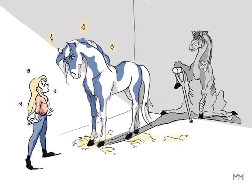 Psychologie animale cheval